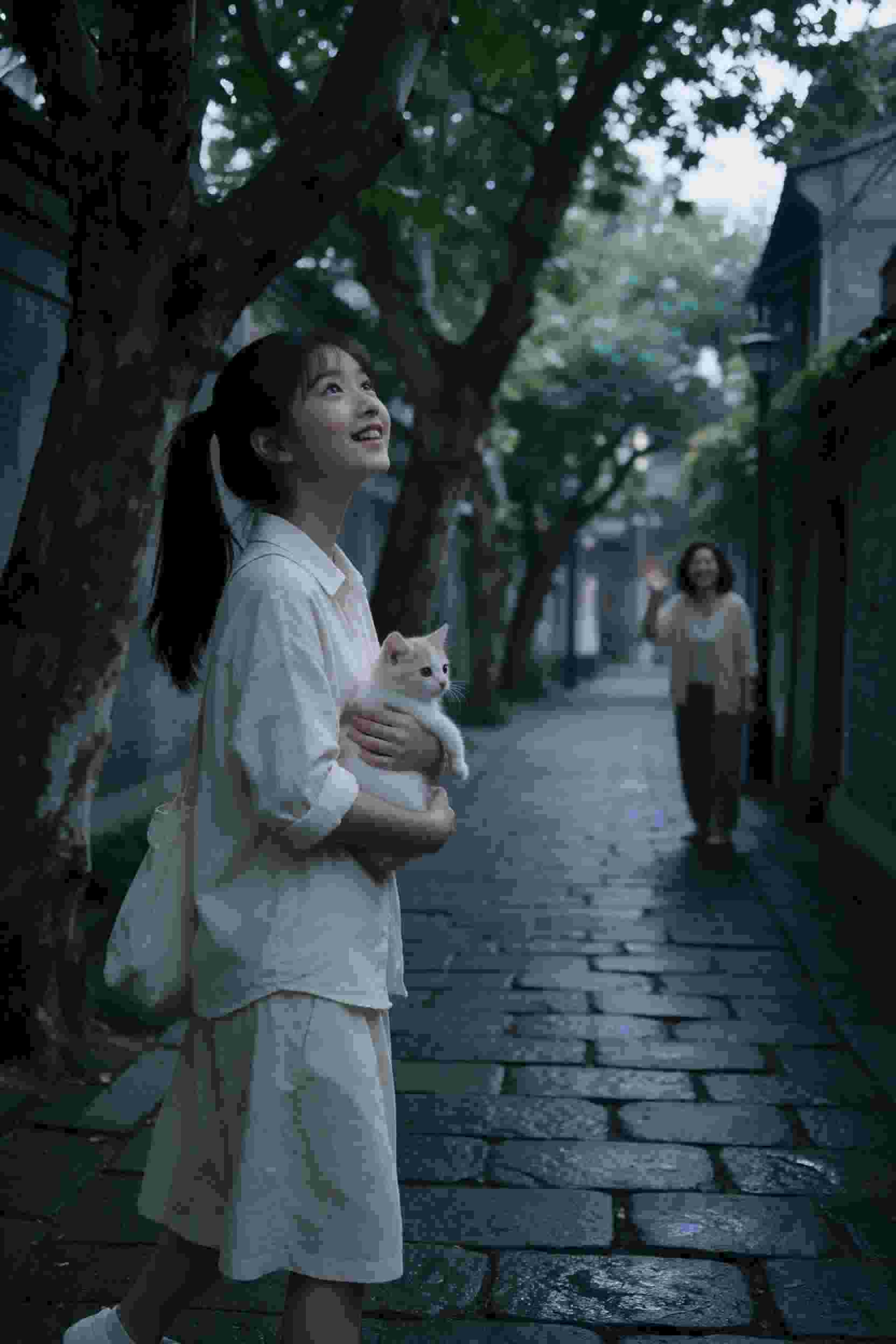 魔法学院纪年
